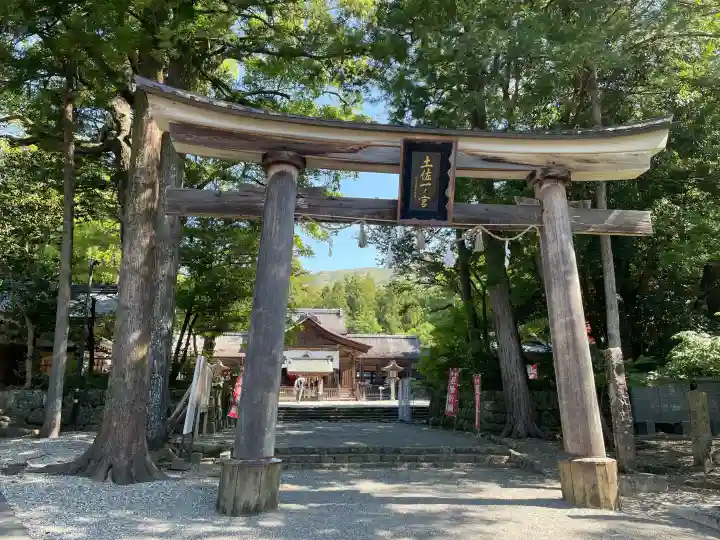 土佐神社の{uncategorized: "未分類", other: "その他", undefined: "問題あり", building: "その他建物", grave: "お墓", sacred_gate: "鳥居", guardian: "狛犬", statue: "像", buddha: "仏像", history: "歴史", nature: "自然", garden: "庭園", animal: "動物", pagoda: "塔", temizu: "手水舎", mountain_gate: "山門・神門", sanctuary: "本殿・本堂", subordinate: "末社・摂社", art: "芸術", scenery: "景色", jizo: "地蔵", ema: "絵馬", goshuin: "御朱印", omikuji: "おみくじ", items: "授与品その他", amulet: "お守り", goshuincho: "御朱印帳", eats: "食事", festival: "お祭り", votive_dance: "神楽", shichigosan: "七五三参", wedding: "結婚式", experience: "体験その他", initially: "初詣", around: "周辺", anti_infection: "感染症対策"}