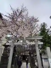 千住本氷川神社(東京都)