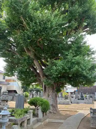 廣徳院(千葉県)