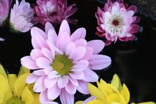 大鏑神社の手水舎