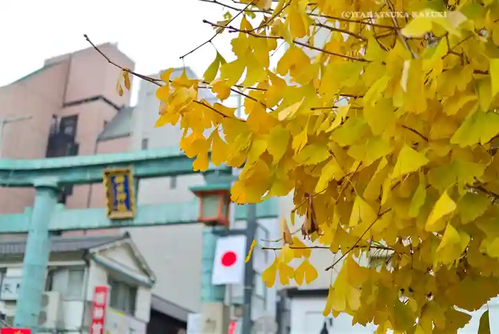 神田神社(神田明神)(東京都)