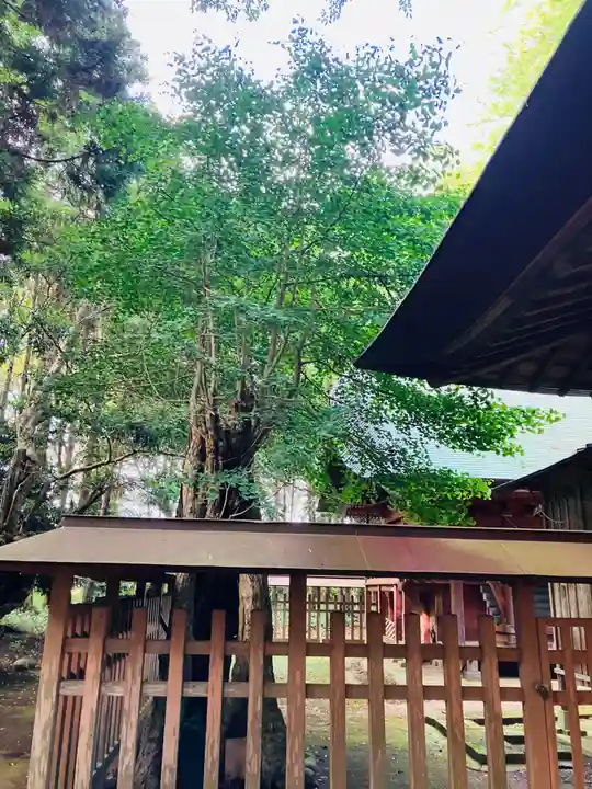 大生神社(茨城県)