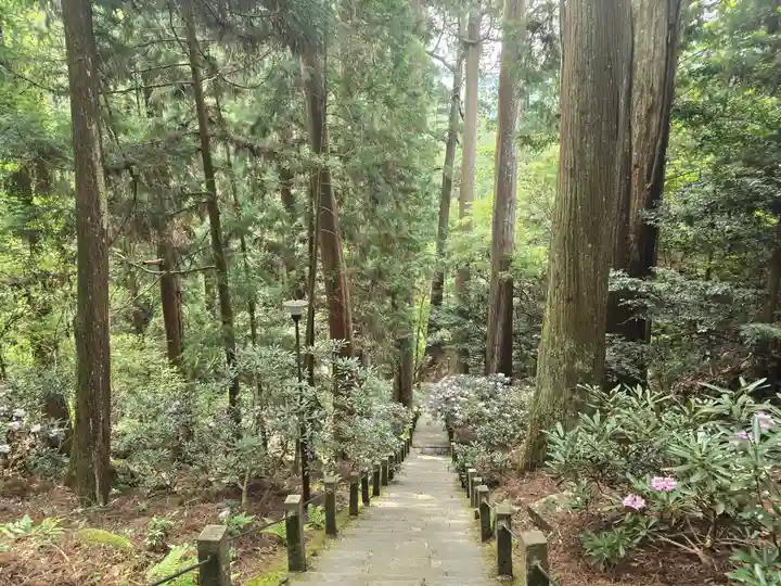 室生寺奥の院(奈良県)