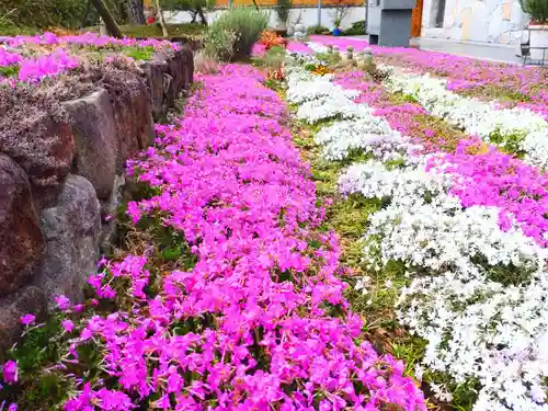 寿量山　速成寺(奈良県)