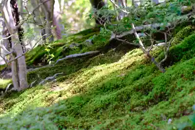 慈照寺（慈照禅寺・銀閣寺）(京都府)