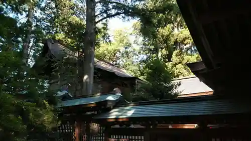 雄山神社前立社壇の本殿