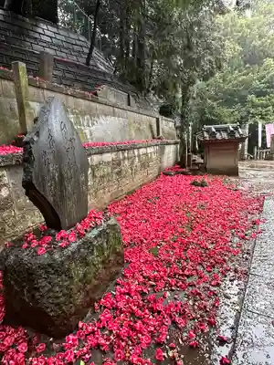 前玉神社(埼玉県)