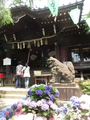 白山神社の狛犬