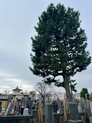 天竜院の{uncategorized: "未分類", other: "その他", undefined: "問題あり", building: "その他建物", grave: "お墓", sacred_gate: "鳥居", guardian: "狛犬", statue: "像", buddha: "仏像", history: "歴史", nature: "自然", garden: "庭園", animal: "動物", pagoda: "塔", temizu: "手水舎", mountain_gate: "山門・神門", sanctuary: "本殿・本堂", subordinate: "末社・摂社", art: "芸術", scenery: "景色", jizo: "地蔵", ema: "絵馬", goshuin: "御朱印", omikuji: "おみくじ", items: "授与品その他", amulet: "お守り", goshuincho: "御朱印帳", eats: "食事", festival: "お祭り", votive_dance: "神楽", shichigosan: "七五三参", wedding: "結婚式", experience: "体験その他", initially: "初詣", around: "周辺", anti_infection: "感染症対策"}