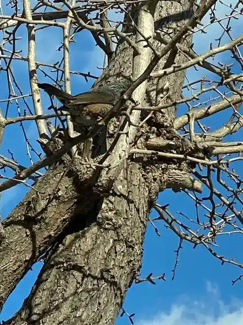 阿邪訶根神社(福島県)