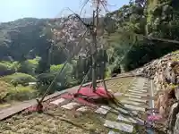 普門寺(切り絵御朱印発祥の寺)の景色