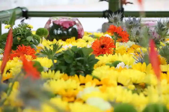 住吉神社の手水舎