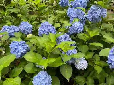 赤城神社(群馬県)