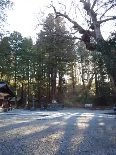 諏訪大社下社春宮(長野県)