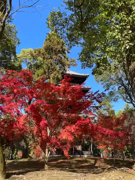 仁和寺(京都府)