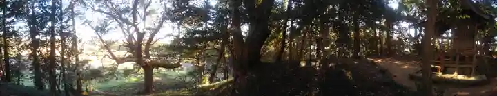 愛宕神社の周辺