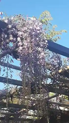 西方山極楽寺(岐阜県)