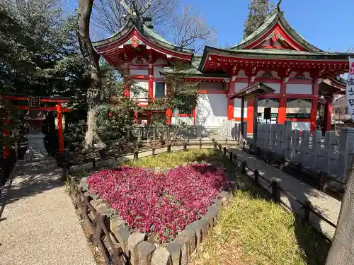 川越八幡宮(埼玉県)