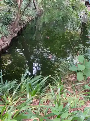 井の頭弁財天(大盛寺)(東京都)