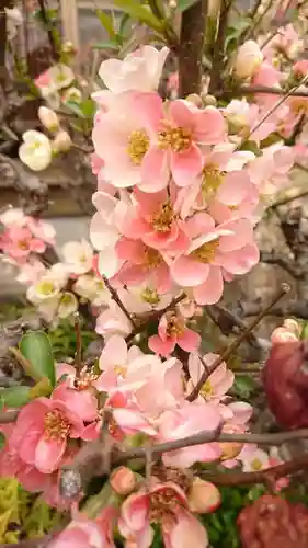 明鏡山龍雲寺の庭園