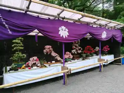 大宮八幡宮の{uncategorized: "未分類", other: "その他", undefined: "問題あり", building: "その他建物", grave: "お墓", sacred_gate: "鳥居", guardian: "狛犬", statue: "像", buddha: "仏像", history: "歴史", nature: "自然", garden: "庭園", animal: "動物", pagoda: "塔", temizu: "手水舎", mountain_gate: "山門・神門", sanctuary: "本殿・本堂", subordinate: "末社・摂社", art: "芸術", scenery: "景色", jizo: "地蔵", ema: "絵馬", goshuin: "御朱印", omikuji: "おみくじ", items: "授与品その他", amulet: "お守り", goshuincho: "御朱印帳", eats: "食事", festival: "お祭り", votive_dance: "神楽", shichigosan: "七五三参", wedding: "結婚式", experience: "体験その他", initially: "初詣", around: "周辺", anti_infection: "感染症対策"}