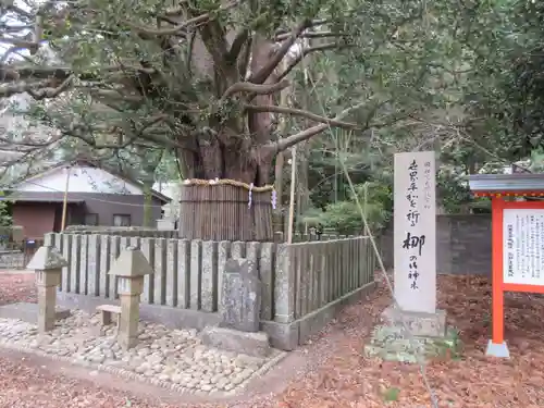 熊野速玉大社の自然