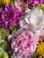 水無瀬神宮(大阪府)