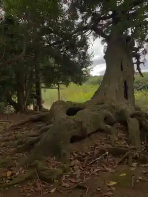 巖島大神(千葉県)