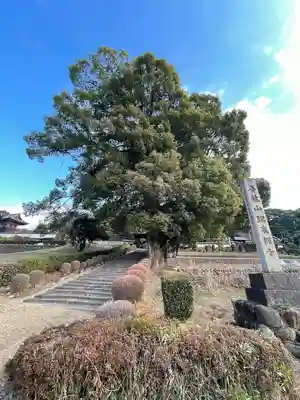 瑞泉寺の山門・神門