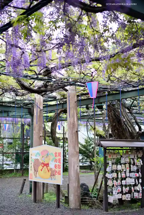 國領神社の庭園