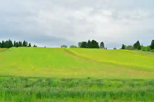 沢山神社（澤山神社)(新潟県)
