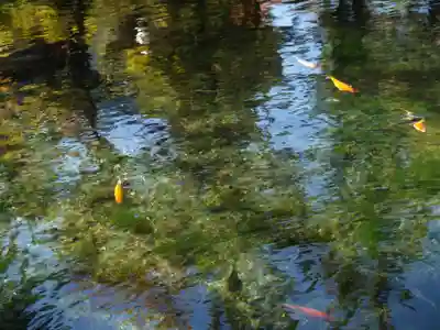 磯山弁財天(栃木県)