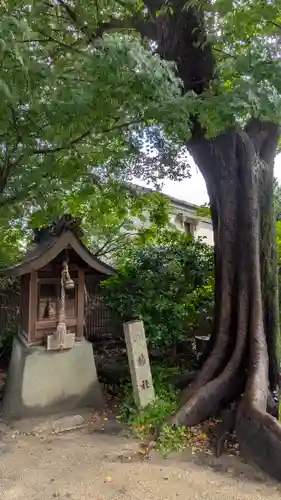 式内楯原神社(大阪府)