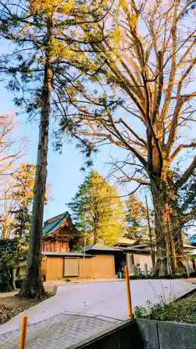 飯綱神社の自然