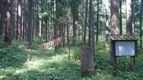 高倉神社の自然