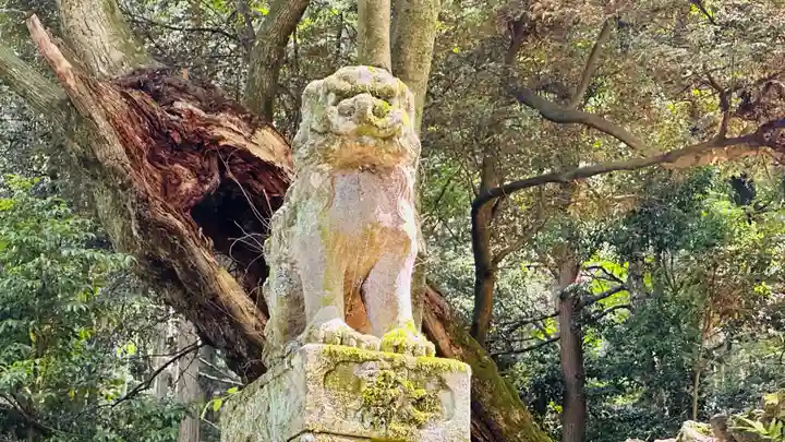 八幡神社(福井県)