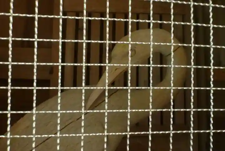 鶴林寺(徳島県)