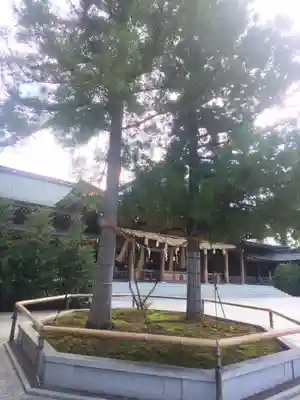 寒川神社(神奈川県)