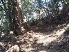 御嶽神社/駒形神社の自然