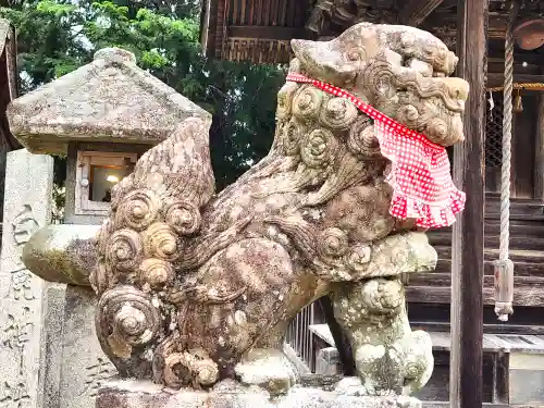 大歳神社の狛犬