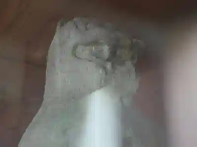 小野神社の狛犬