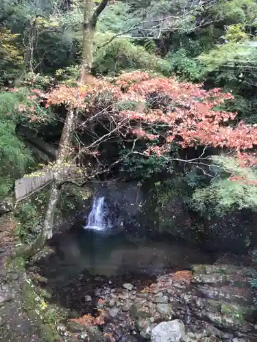大本山七宝瀧寺の自然