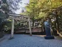 玉置神社の{uncategorized: "未分類", other: "その他", undefined: "問題あり", building: "その他建物", grave: "お墓", sacred_gate: "鳥居", guardian: "狛犬", statue: "像", buddha: "仏像", history: "歴史", nature: "自然", garden: "庭園", animal: "動物", pagoda: "塔", temizu: "手水舎", mountain_gate: "山門・神門", sanctuary: "本殿・本堂", subordinate: "末社・摂社", art: "芸術", scenery: "景色", jizo: "地蔵", ema: "絵馬", goshuin: "御朱印", omikuji: "おみくじ", items: "授与品その他", amulet: "お守り", goshuincho: "御朱印帳", eats: "食事", festival: "お祭り", votive_dance: "神楽", shichigosan: "七五三参", wedding: "結婚式", experience: "体験その他", initially: "初詣", around: "周辺", anti_infection: "感染症対策"}