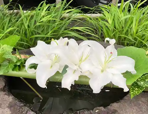 新琴似神社の手水舎