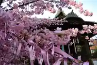 桜神宮(東京都)