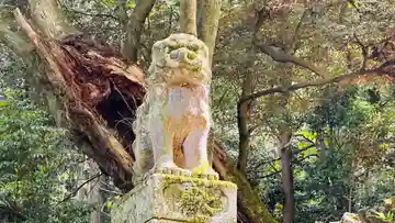 八幡神社(福井県)