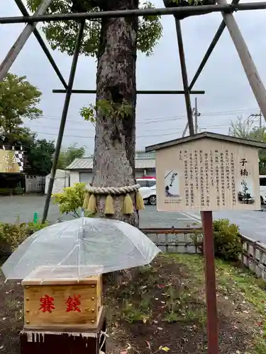 溝口神社(神奈川県)