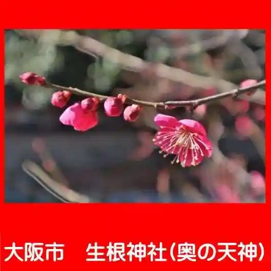 生根神社の自然