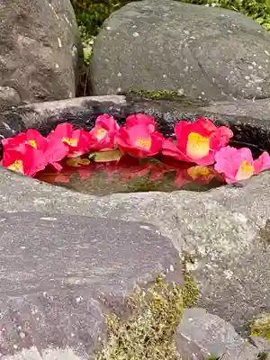 霊鑑寺門跡の手水舎