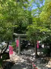 大山祇神社の鳥居